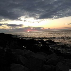 Meet your Posher, Ann